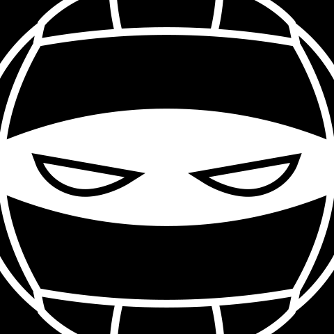 Close-up of icon of volleyball combined with ninja eyes